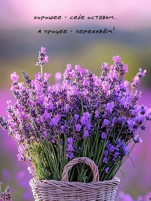 �� ����� ������! - 27 ��� 2025 � 13:18