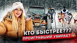 КТО БЫСТРЕЕ__ ОЛИМПИЙСКИЙ ЧЕМПИОН vs БАГГИ vs СОБАЧЬЯ УПРЯЖКА.mp4