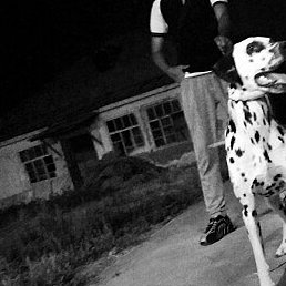 Diyor, �����������, 24 ����