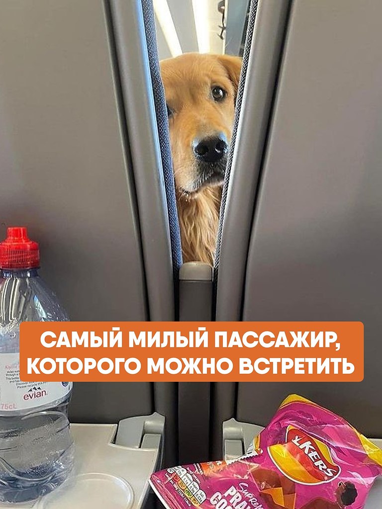 ������ ������� �������������� ����� � ��������, ���� ��� ��� ��� ����������� ���� ������ � ��������� ...