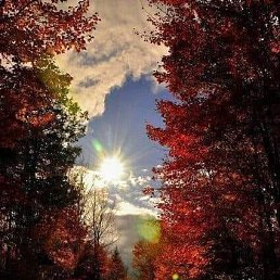 ���� Tac�, ����� - ��������� 11 ������� 2024