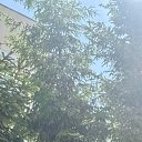 ���� �������, �����, 50 ��� - ��������� 16 ������� 2025 � ������ ���� ����������