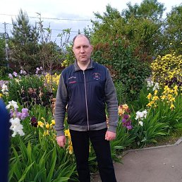 , 41, 