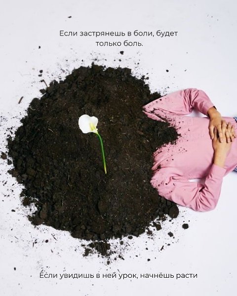 .�������. - 11 ������ 2025 � 22:24 - 6