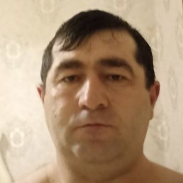 �����, �����-���������, 42 ����