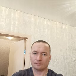 ����, 41 ���, ���������