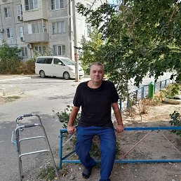 ������, 49 ���, ���������