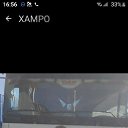 ���� ���, ������, 42 ���� - ��������� 31 ������� 2023 � ������ ���� ����������