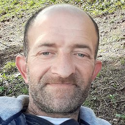 Elvis, �����, 43 ����