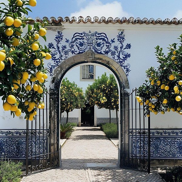 Imaginary world - 19 ��� 2025 � 12:30