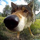 ���� ���������, ������, 46 ��� - ��������� 1 ������ 2024 � ������ ���� ����������