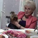 ���� �������, ������� - ��������� 9 ����� 2026