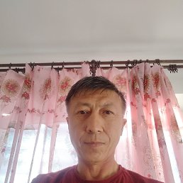 , 52, 