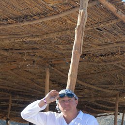 ���� ����, ����, 50 ��� - ��������� 23 ����� 2026