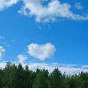 ���� �����, ����������, 51 ��� - ��������� 23 ������ 2025 � ������ ���� ����������