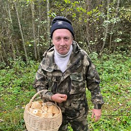 �����, 48 ���, ������