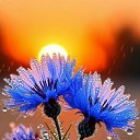 ���� ����, ��������� - ��������� 13 ��� 2026 � ������ ���� ����������