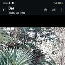  , , 65  -  19  2025    