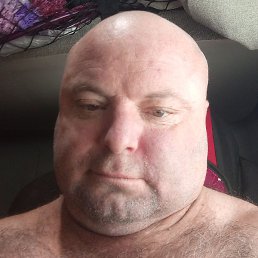 ����, �����-���������, 46 ���