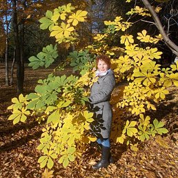 ��������, ������, 54 ����