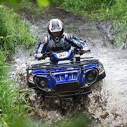 ������, 34 ����, ������