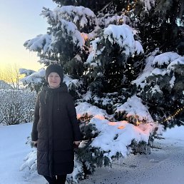 ���� �������, ����������, 49 ��� - ��������� 14 ������ 2026