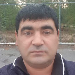 �����, ������, 43 ����