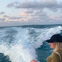 ���� ����, �����������, 39 ��� - ��������� 3 ������ 2024 � ������ ���� ����������
