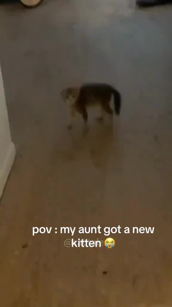 �� ����� ��������� �� ����� ������� - 2