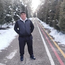 , 42, 