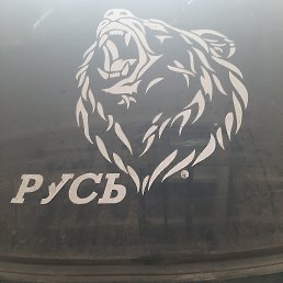���� �����, �������, 40 ��� - ��������� 24 ��� 2026