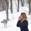 ���� �����, �����, 50 ��� - ��������� 26 ������� 2025 � ������ ���� ����������