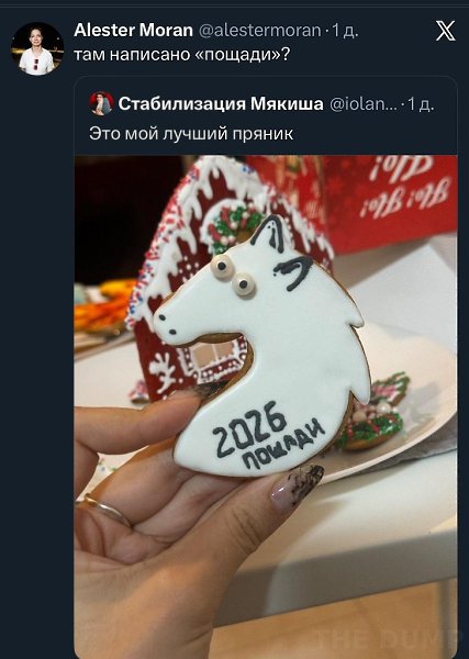 2026, �o�a��.. so`quiet