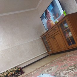 ����, ������, 43 ����