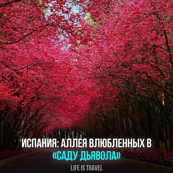 Откройте для себя Аллею Влюбленных в «Саду Дьявола», Испания! Этот романтический уголок Андалусии – ...