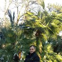 ���� ������, ����, 58 ��� - ��������� 30 �������� 2025 � ������ ���� ����������