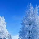 ���� �������, ������ �������� - ��������� 16 ������� 2025