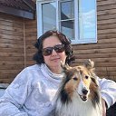 ���� �����, ������������, 51 ��� - ��������� 7 ������� 2026