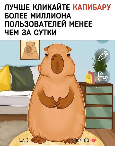 . - 26  2024  16:14 - 2