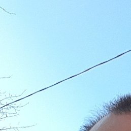 ������, �����-���������, 48 ���