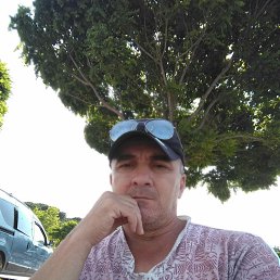 ���� �����, ���������, 54 ���� - ��������� 1 ������ 2024