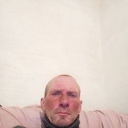 ���� ��������, ������, 41 ��� - ��������� 24 ������ 2026