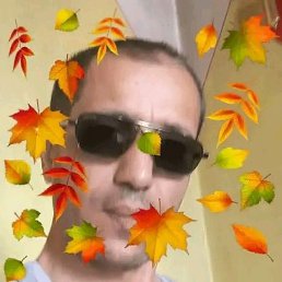 , 33, 