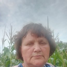 , 61, 