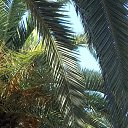 ���� ���������, ��������, 43 ���� - ��������� 26 ������� 2026 � ������ ���� ����������