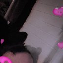 ���� �����, �����������, 42 ���� - ��������� 17 ������ 2026 � ������ ���� ����������
