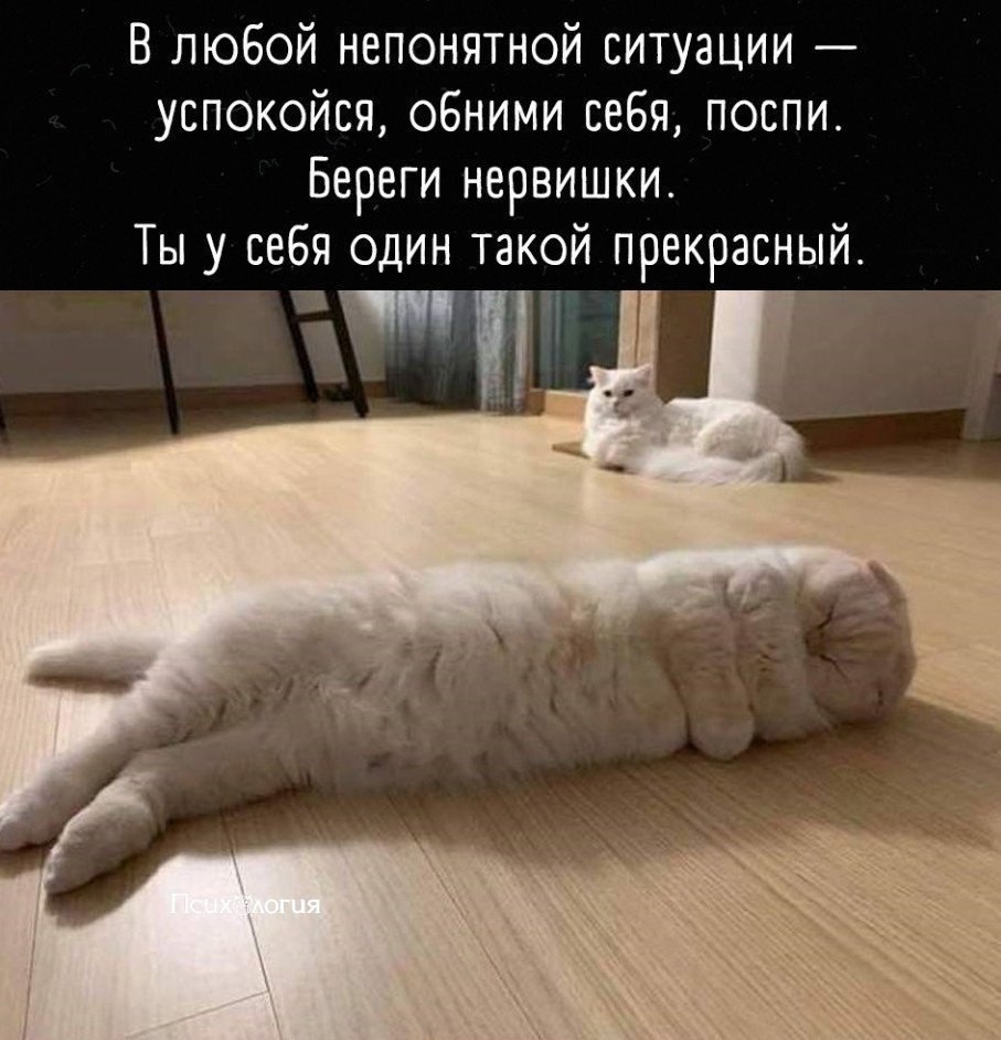   ,        !