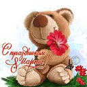 ���� ��������, ������ - ��������� 8 ����� 2026 � ������ ������ ��������
