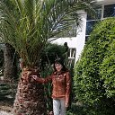 ���� *Galina*, ������, 55 ��� - ��������� 12 ������ 2026 � ������ ������� - 2026. �����