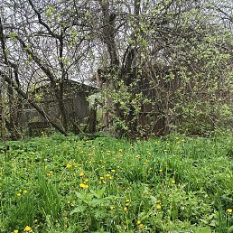 ���, Los Angeles, 25 ���